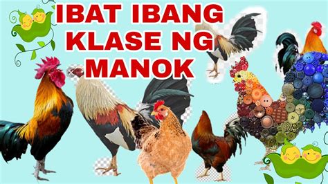 tawagan sa sabong tagalog|Iba't Ibang Klase ng Tawagan ng Magkasintahan .